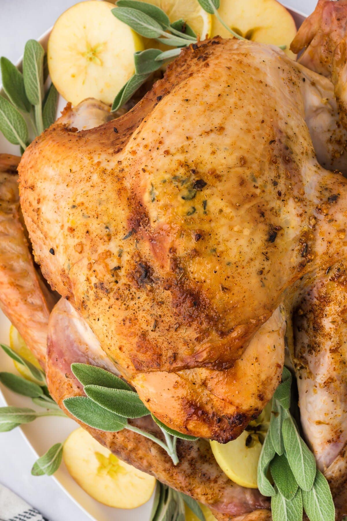 Overhead dry brine turkey.