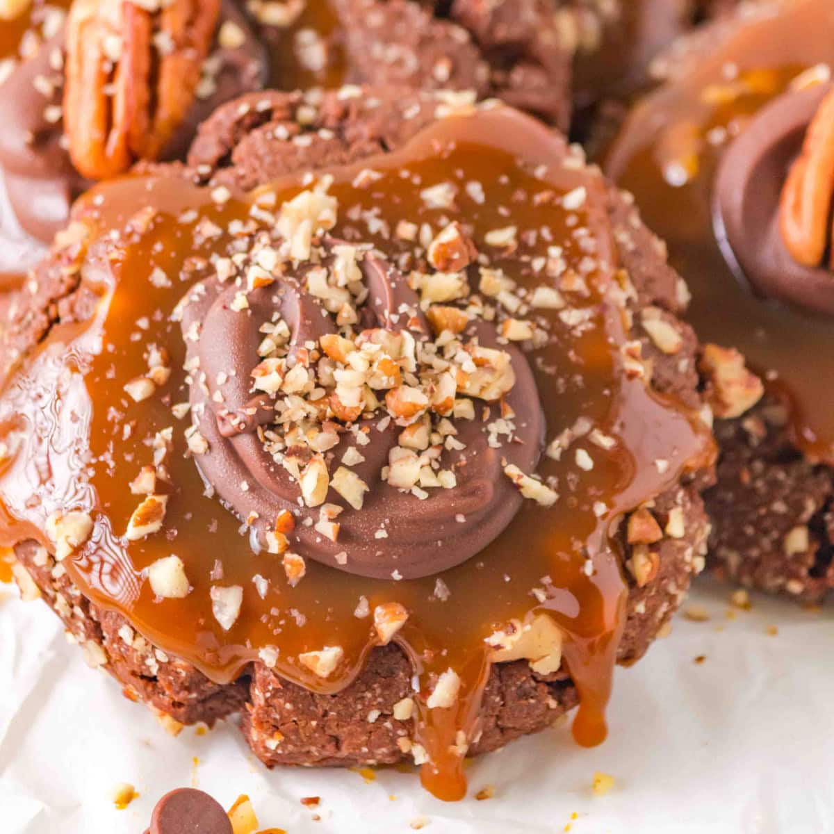 Close-up of a turtle cookie.