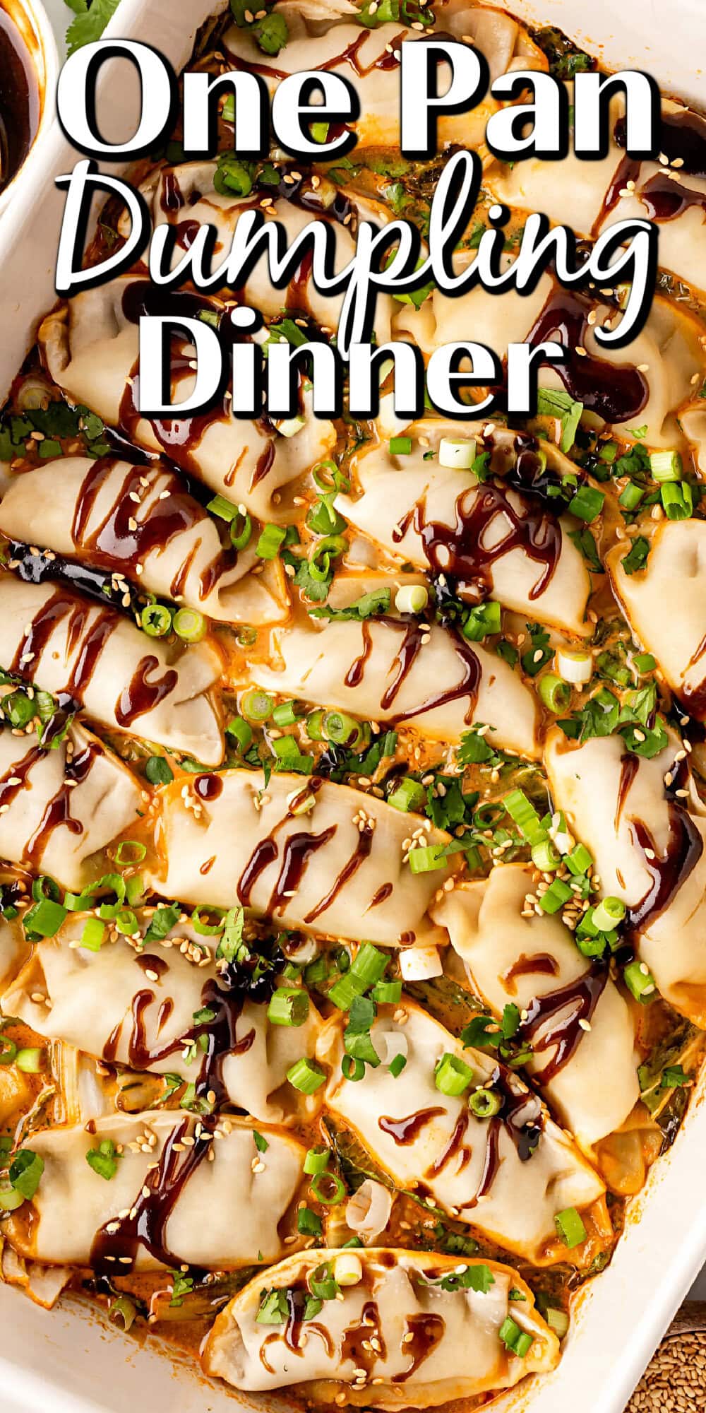 One Pan Dumpling Dinner pin. 