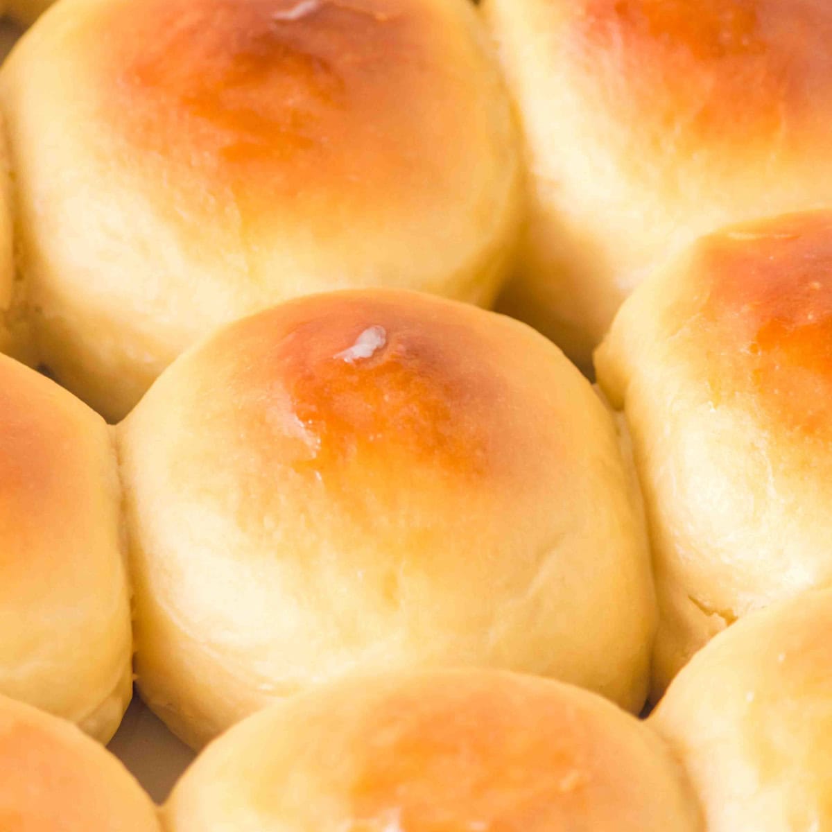 Close-up look at the Hawaiian Dinner Rolls. 