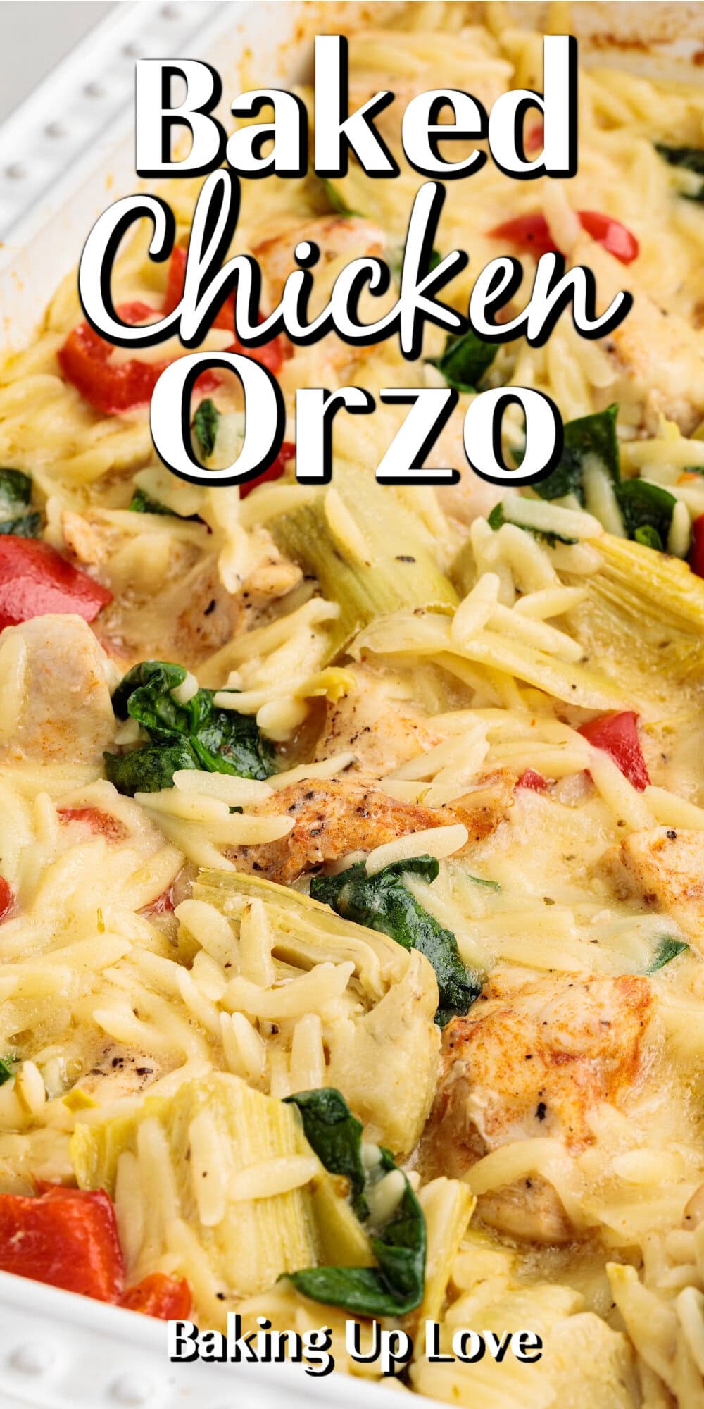 Baked Chicken Orzo pin. 