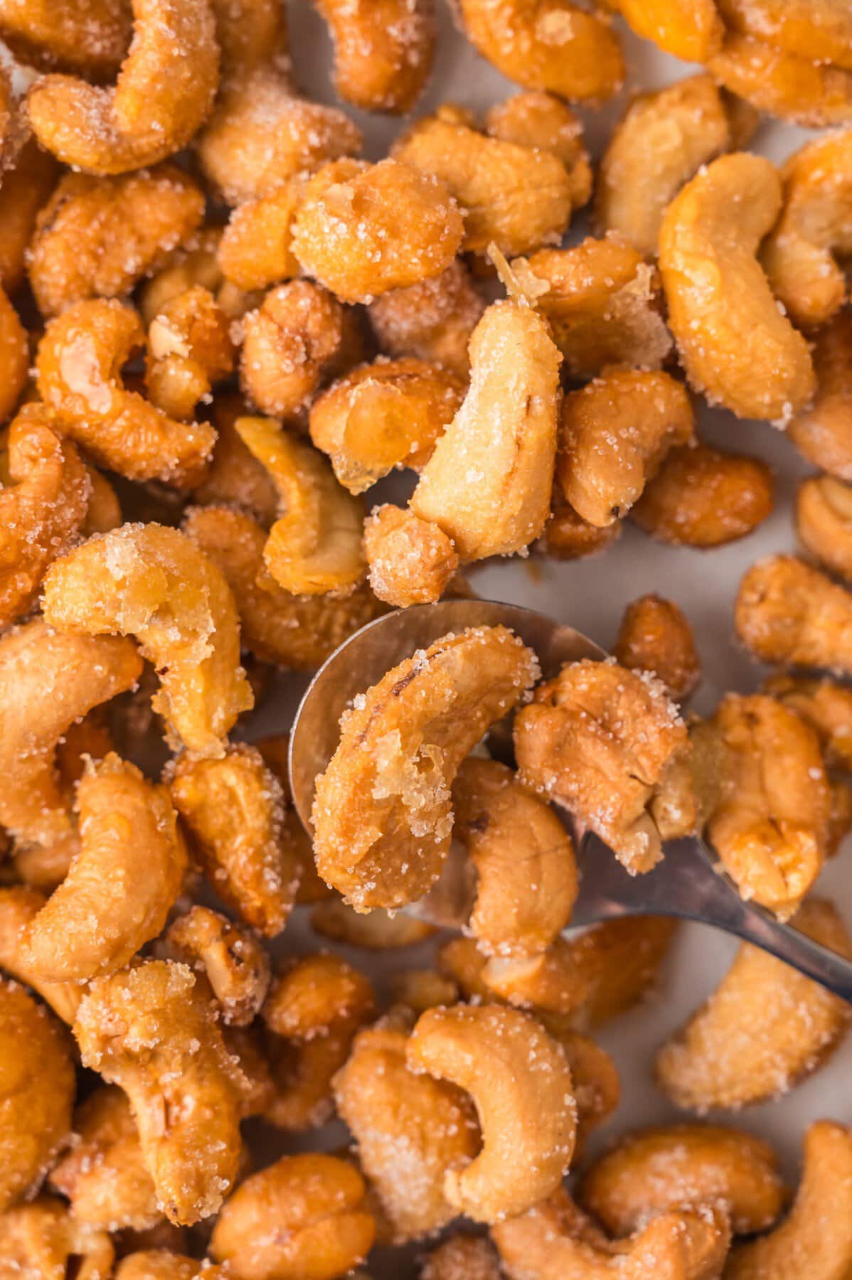 Honey Roasted Cashews close-up on a spoon. 