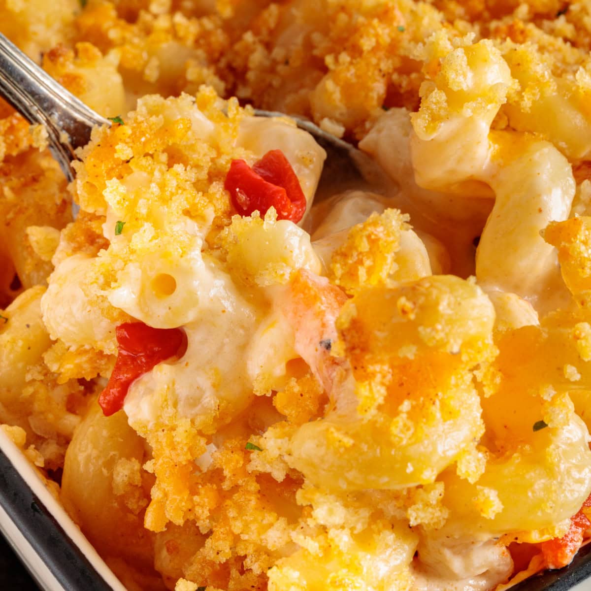 Close-up of mac and cheese.